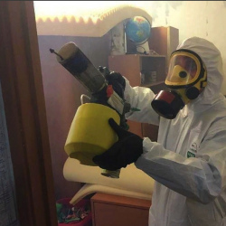 Уничтожение клопов в квартире. Выставочная